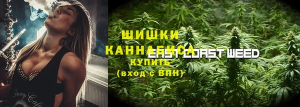 гашик Сатка