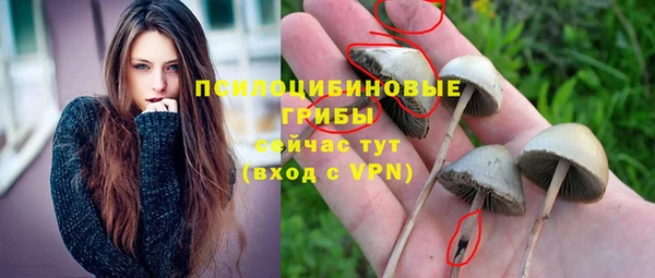 спиды Алзамай